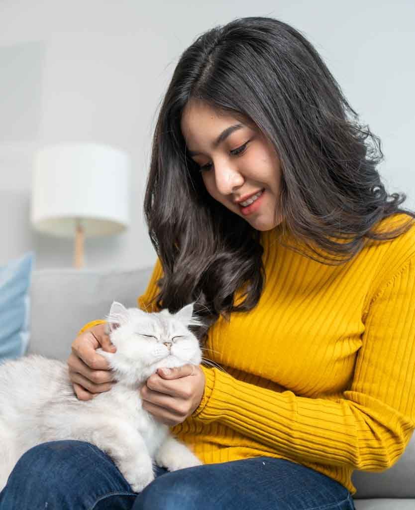 Sitter gently scratching a happy white Persian cat on a couch